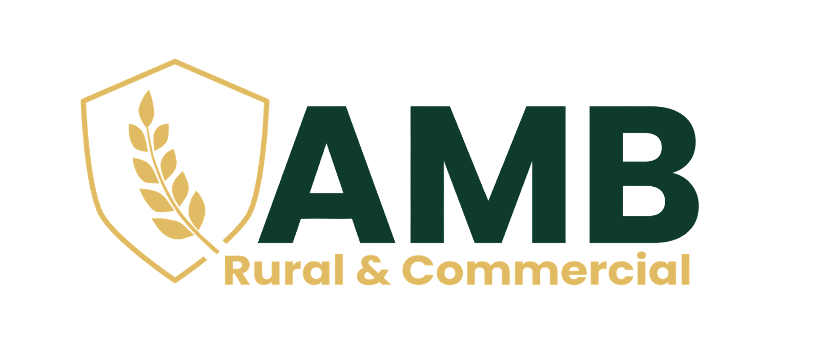 AMB Insurance Services